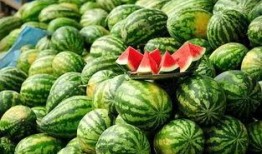 全球更新.今日吃瓜每日必吃,每日必吃“吃瓜”盛宴，紧跟时事热点